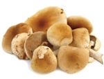 Funghi: consigli per gli acquisti