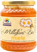IL PUNGILIONE MIELE MILLEFIORI BIO IL PUNGILIONE MIELE MILLEFIORI BIO