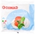 CONAD 3 MOZZARELLE CON FERMENTI LATTICI VIVI CONAD 3 MOZZARELLE CON FERMENTI LATTICI VIVI
