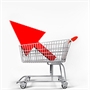 Shopping online: la nostra inchiesta