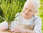 Alimentazione anziani