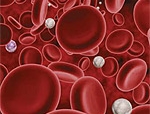 Farmaci decoagulanti: quello che c’è da sapere