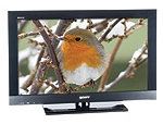 Tv e internet in un solo apparecchio: meglio il televisore e il monitor?