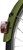 ASKOLL EB1