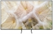 SAMSUNG QE55S85HAEXZT