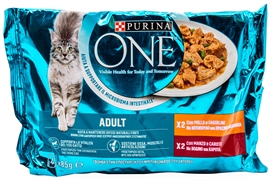PURINA ONE ADULT CON POLLO E FAGIOLINI/CON MANZO E CAROTE