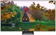 SAMSUNG QE65QN80F