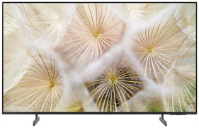 SAMSUNG UE50M1EHAUXZT