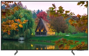 SAMSUNG QE55Q7F5AUXZT