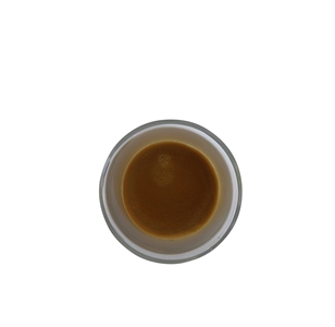 CAFFITALY ARKA S33 EVO