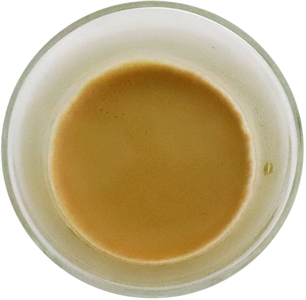 GAGGIA CADORNA STYLE