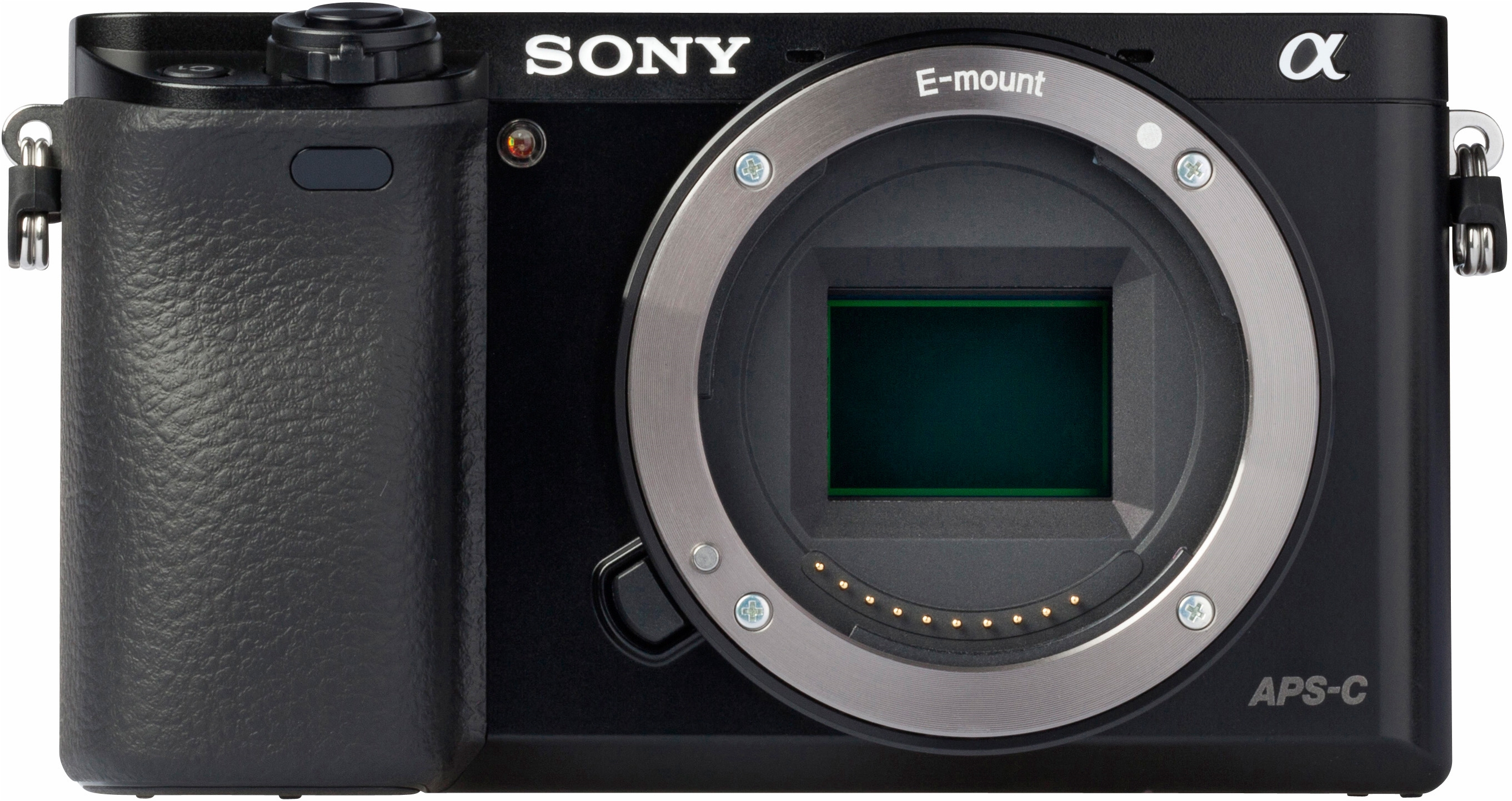 SONY ALPHA 6000 + SONY 16-50MM